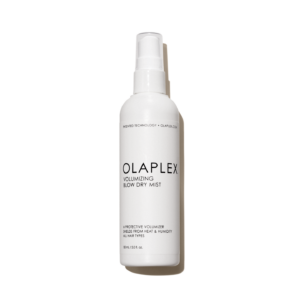 Special Offer - VOLUMIZING Blow-Dry Mist
