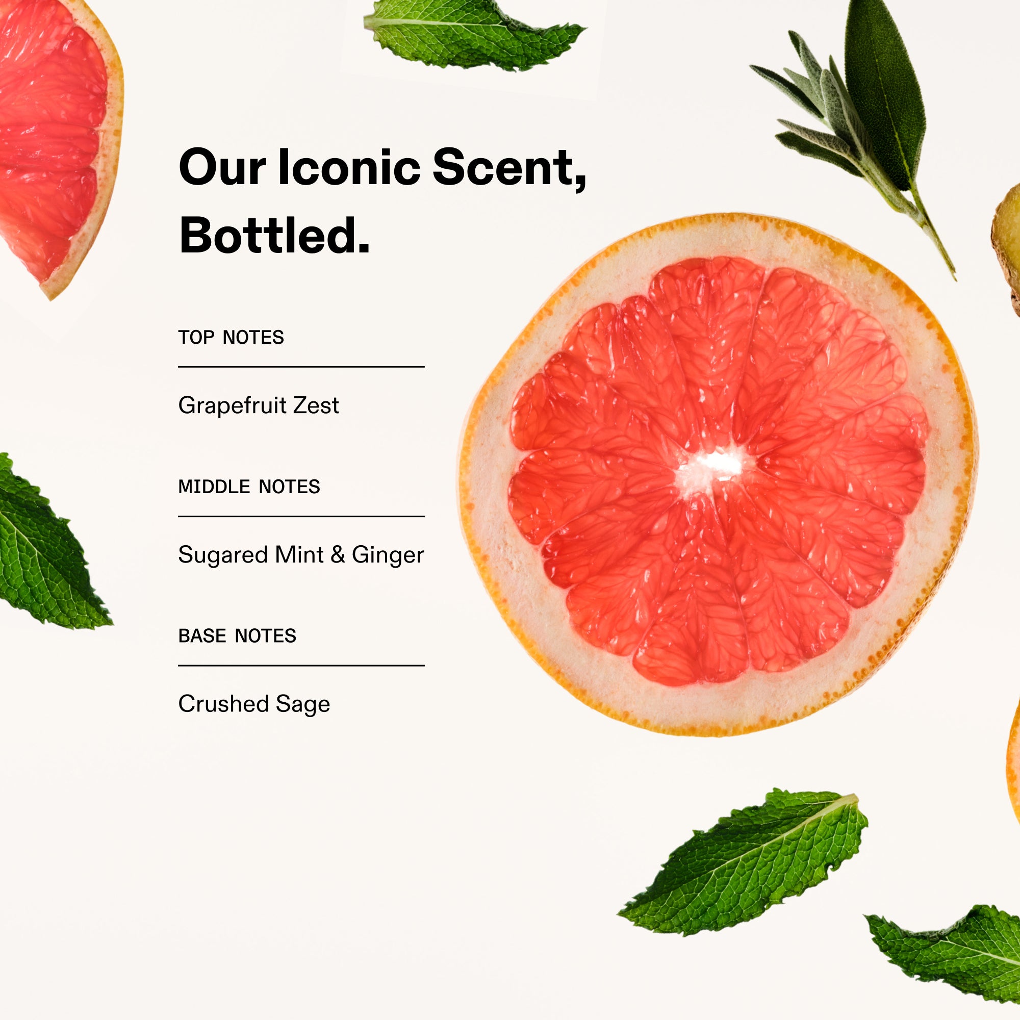 SIGNATURE HAIR & BODY Fragrance Spray Mist - Image 2